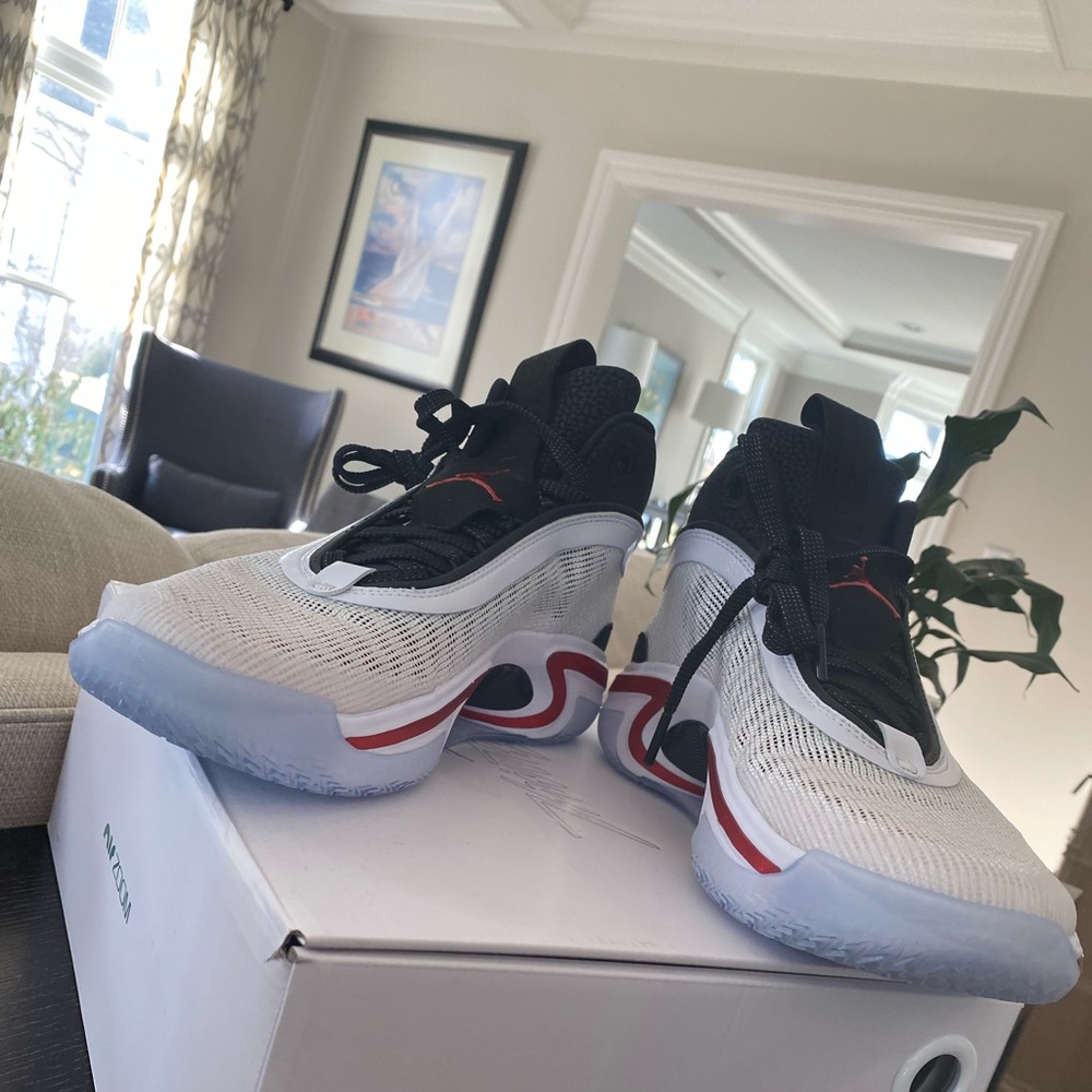 Brand New Air Jordan xxxvi size 11